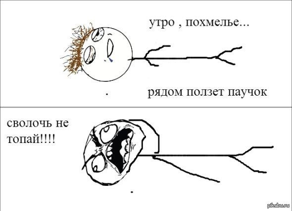 Смешные мемы про похмелье