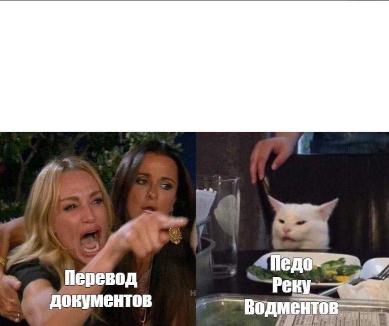 Девушки орут на кота