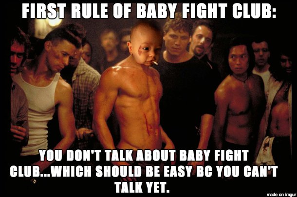 Добро пожаловать в бойцовский клуб с котом