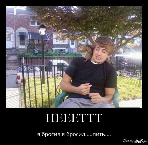 Бросил пить фото приколы