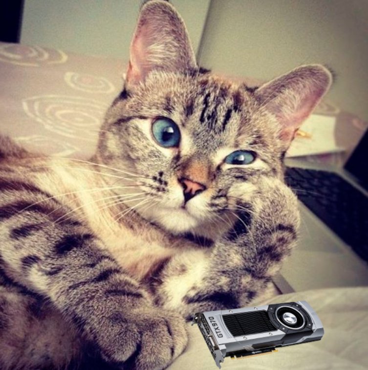 Кот задумчивый