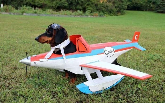 Прикольные самолеты