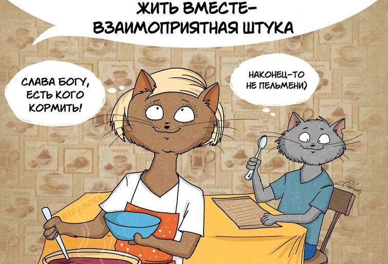 Живем вместе приколы