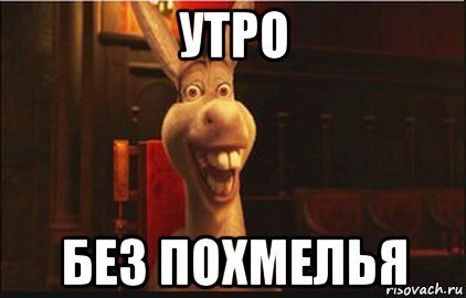 Похмелье Мем