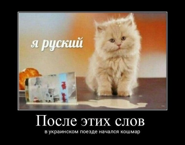 Я руский с котенком