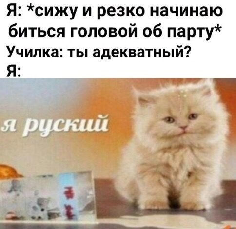 Я русский Мем с котом