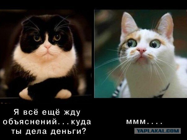 Когда муж спрашивает куда дела деньги