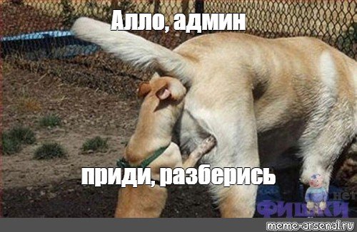 Мемы пошло поехало