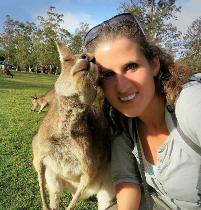 Селфи с кенгуру