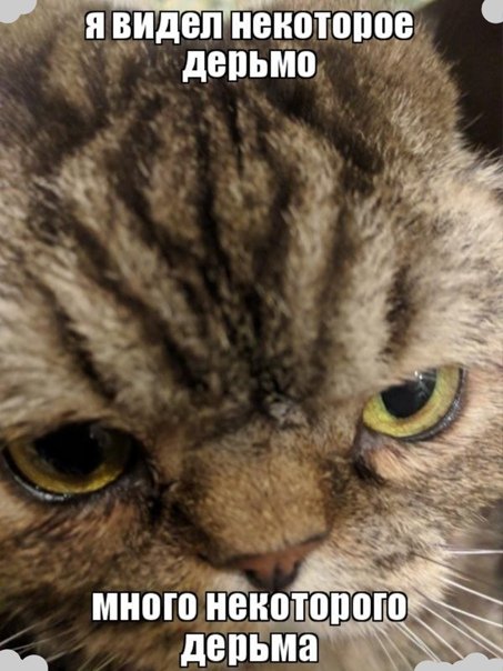 Я видел некоторое дерьмо
