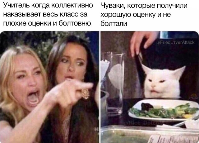 Мем с котом и двумя женщинами