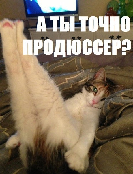 А ты точно продюсер Мем