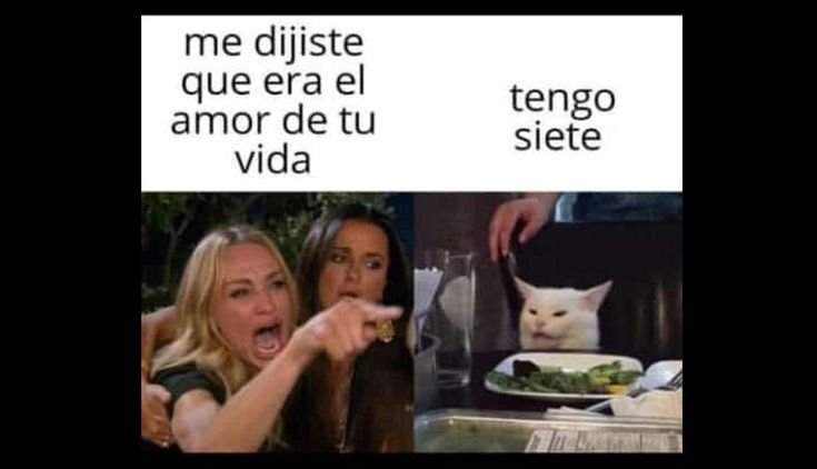 Эль Гато кот Мем