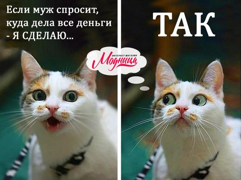 Куда дела все деньги