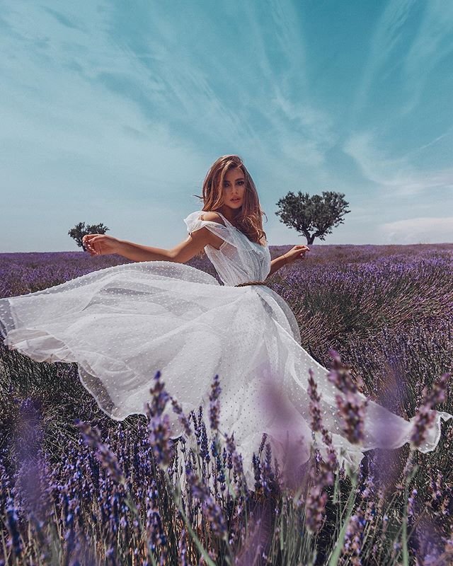 Анастасия Морева Лавандовое поле