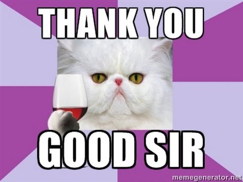 Котик спасибо Мем