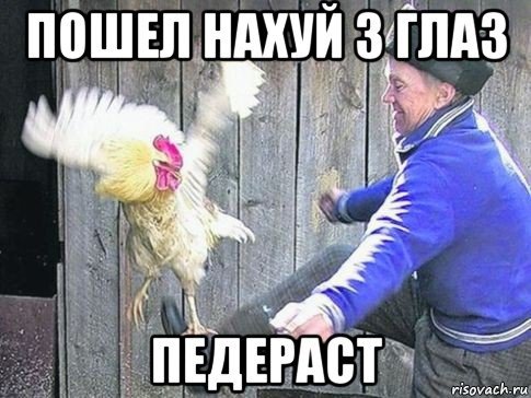 Пинает петуха