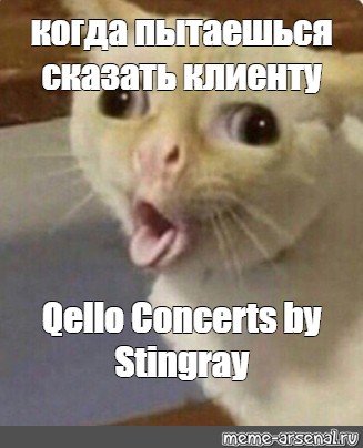 Кот благодарит за внимание