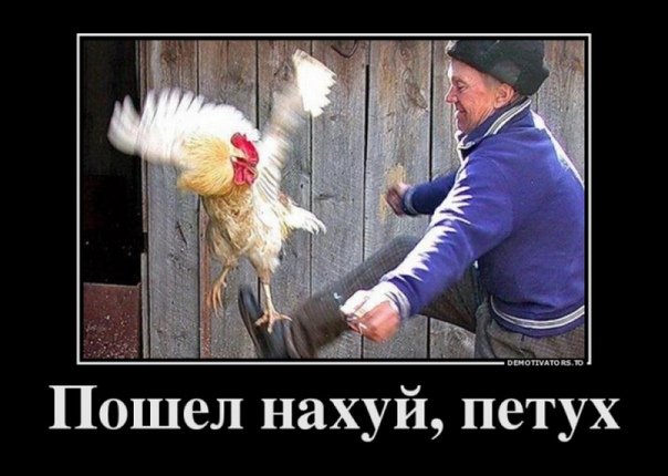 Мемы с петухами