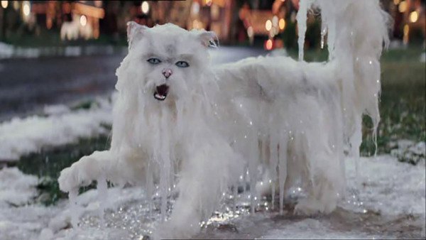 Собака в сосульках