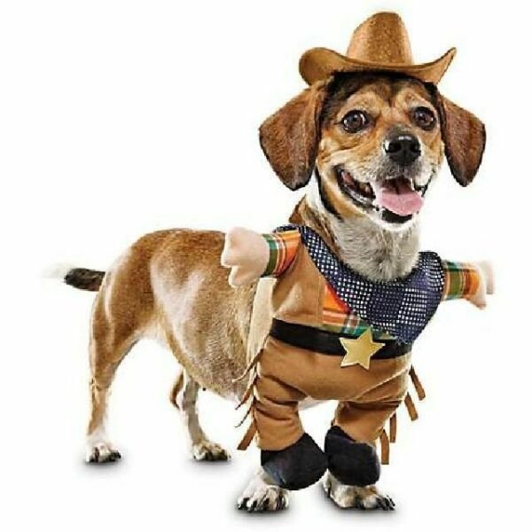 Одежда ковбой для собачек