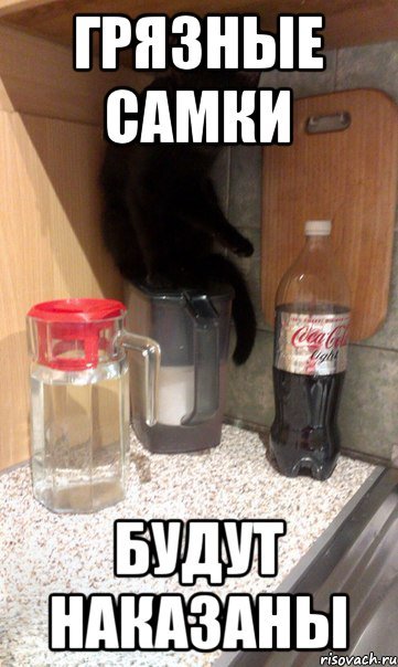 Грязный котенок Мем