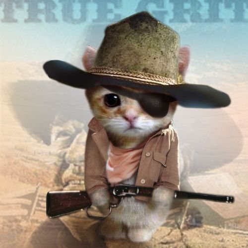 Животное в ковбойской шляпе