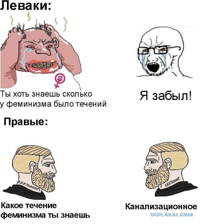 Мемы про феминисток