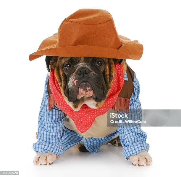 Костюм собаки для мужчины