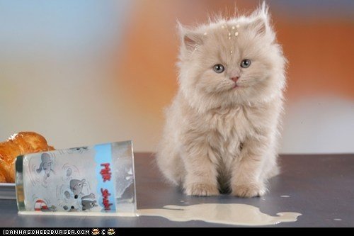 Мем я русский котенок