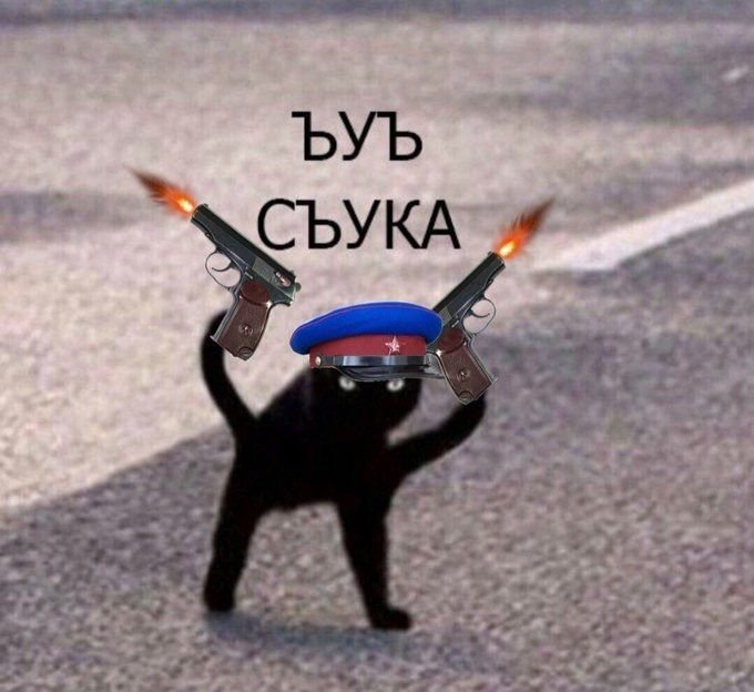 Мем с котом ЪУЪ
