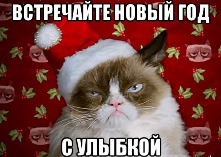 Грустный кот новый год