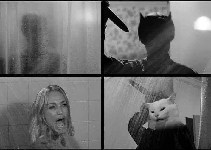 Кот и кричащая женщина