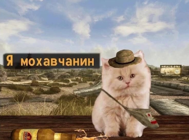 Я не русский Мем с котом