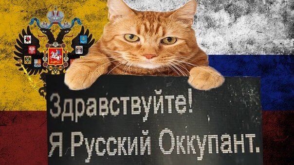 Я русский кот
