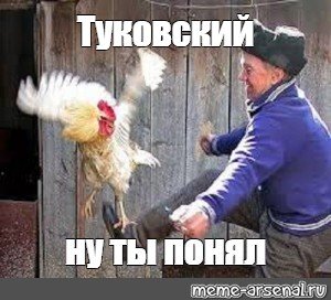 Пнул петуха