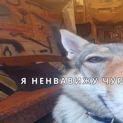 Я ненавижу волк Мем