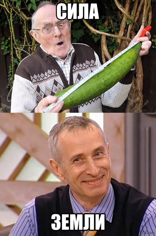 Доктор Малахов огурец