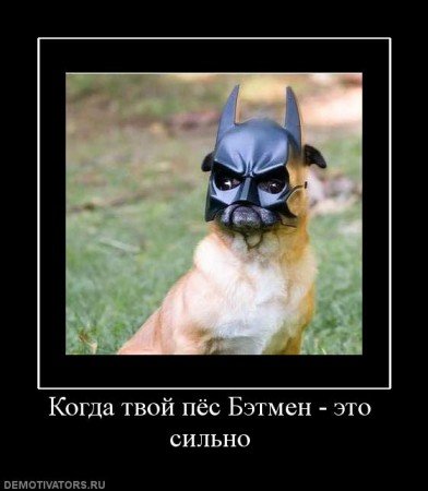 Пес Бэтмен