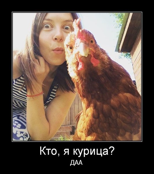 Баба курица