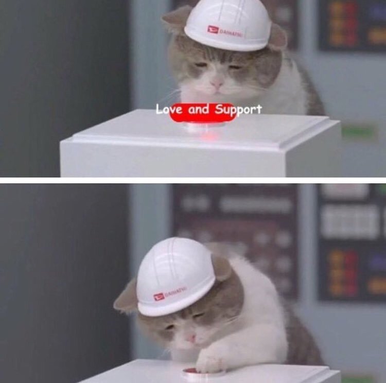 Грустный кот нажимает на кнопку