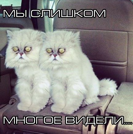 Букля видела некоторое дерьмо