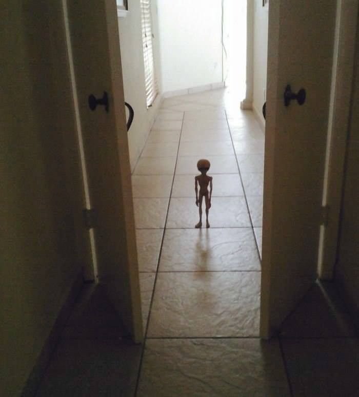 Человек в коридоре