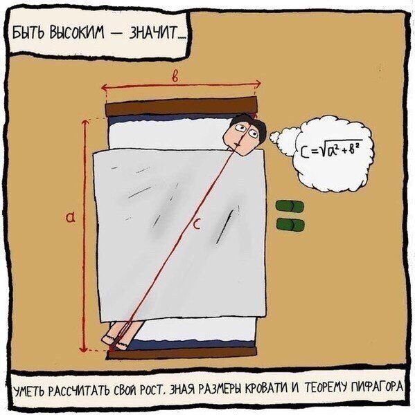 Анекдоты про высоких