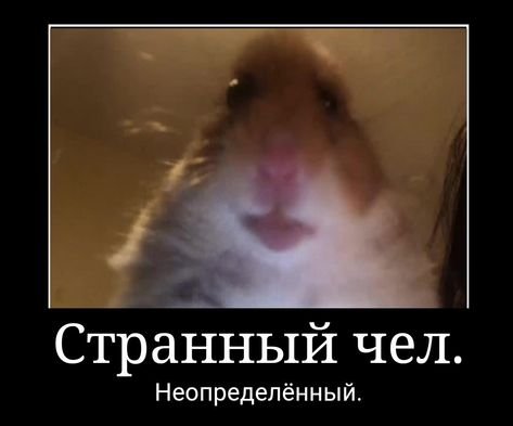 Добрый чел позитивный Мем хомяк