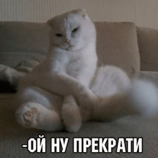 А вы точно продюсер Мем