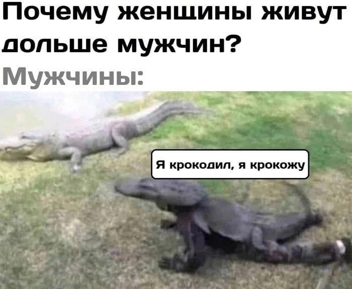 Мемы с крокодилами