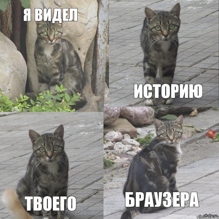 Букля видела некоторое дерьмо