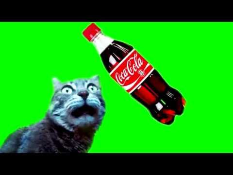 Кот пьет колу