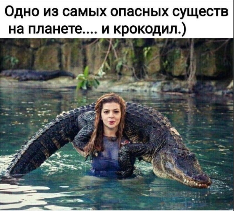 Одно из самых опасных существ на планете и крокодил